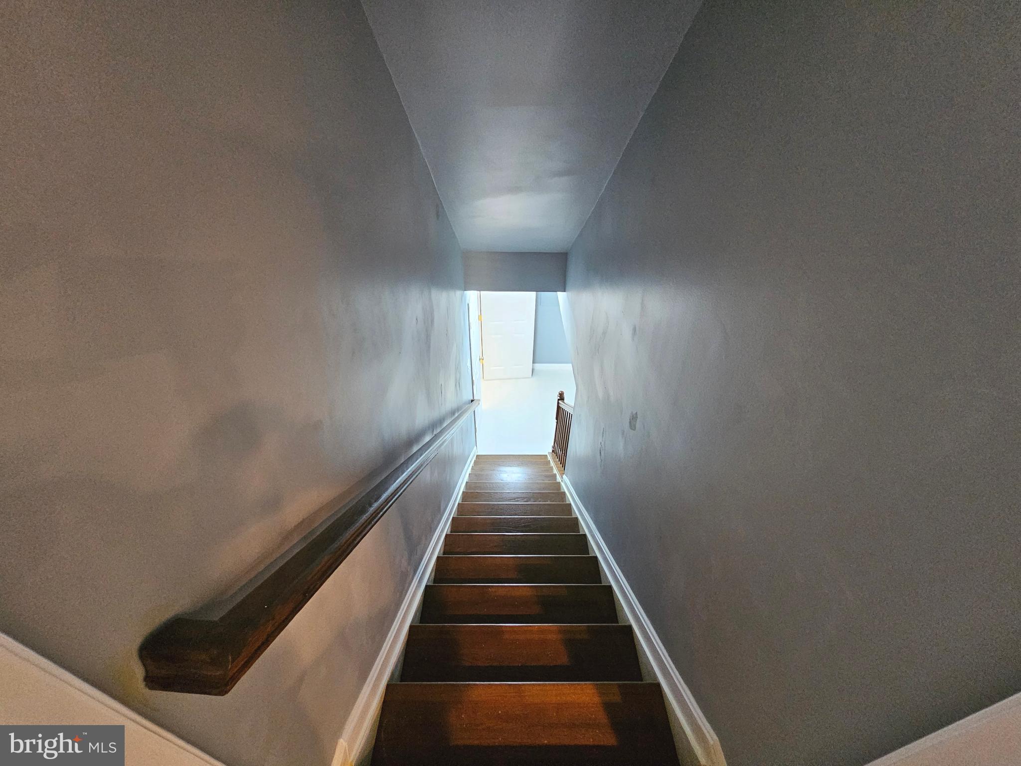 1014 Rori Court Salisbury, MD 21801 - Photo 31 of 54