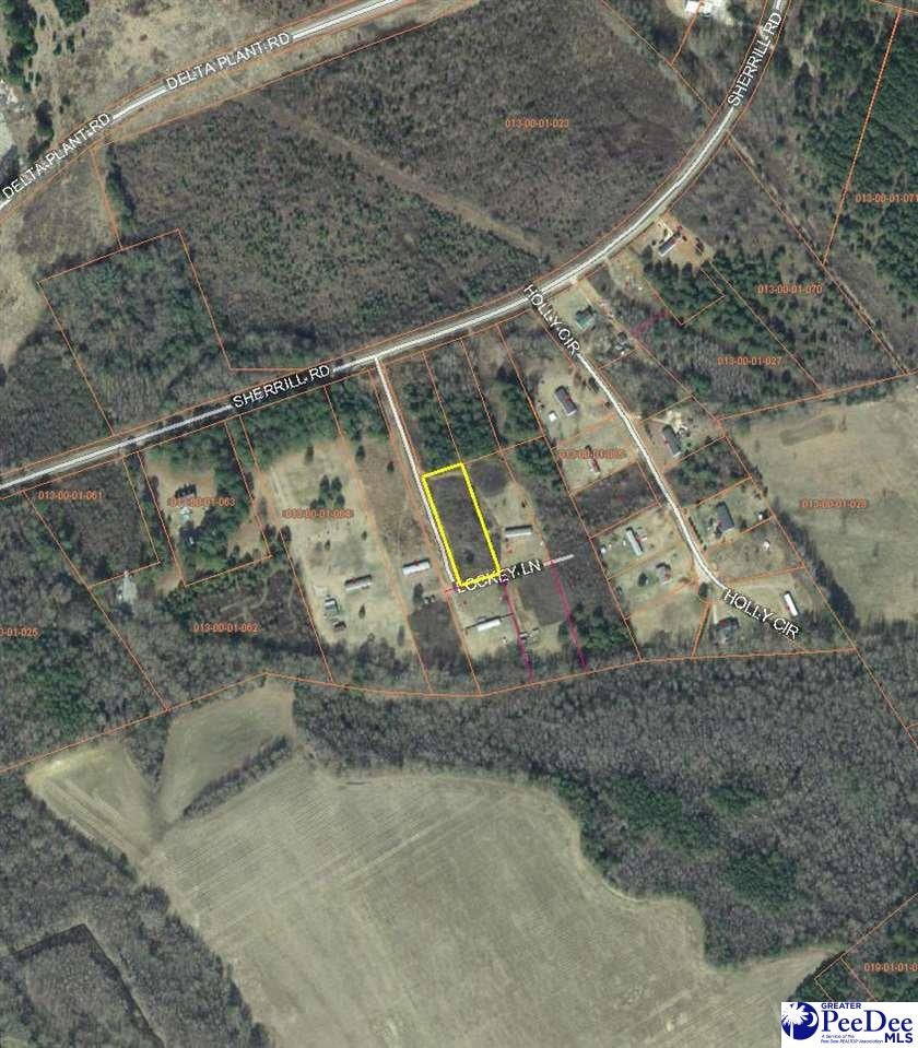 Lockey Lane Wallace, SC 29596 - Photo 1 of 1 Gallery Image 1