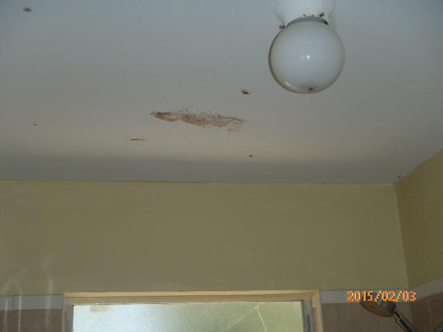 216 Hispanola Road Tavernier, FL 33070 - Photo 4 of 12 2015-02-03 00