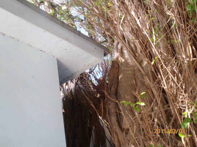 216 Hispanola Road Tavernier, FL 33070 - Photo 7 of 12 2015-02-03 00