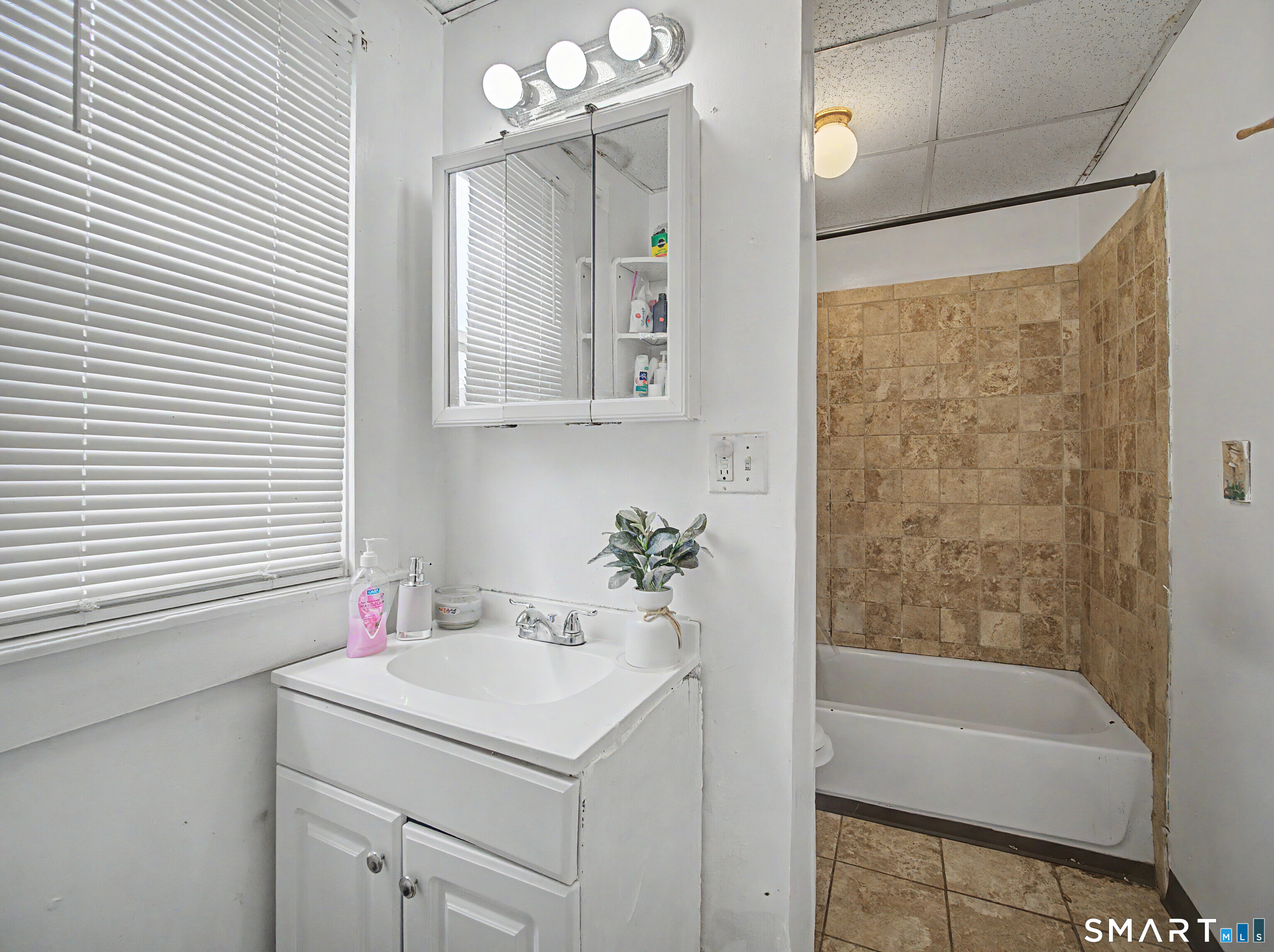 319 Carroll Avenue Bridgeport, CT 06607 - Photo 17 of 40 a bathroom with a sink a toilet and shower
