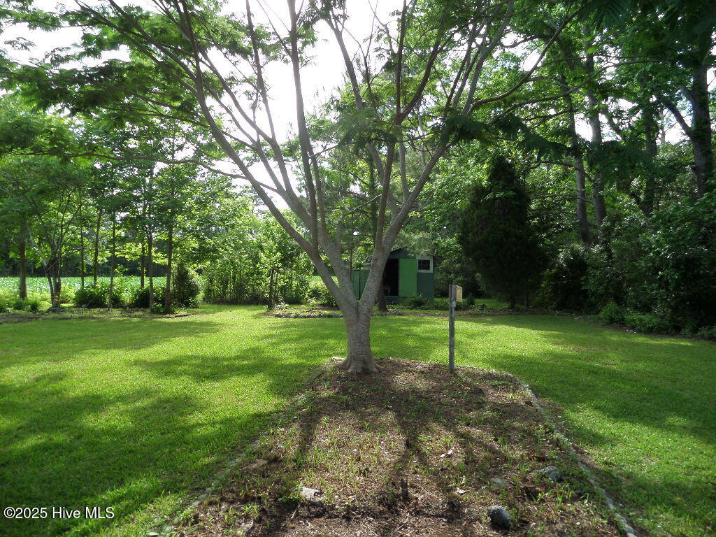 108 Swan Point Road Bayboro, NC 28515 - Photo 33 of 44 SAM_7360