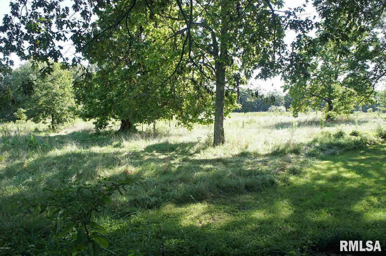 7021 Walnut Ridge Road Grantsburg, IL 62943 - Photo 16 of 31 Gallery Image 16