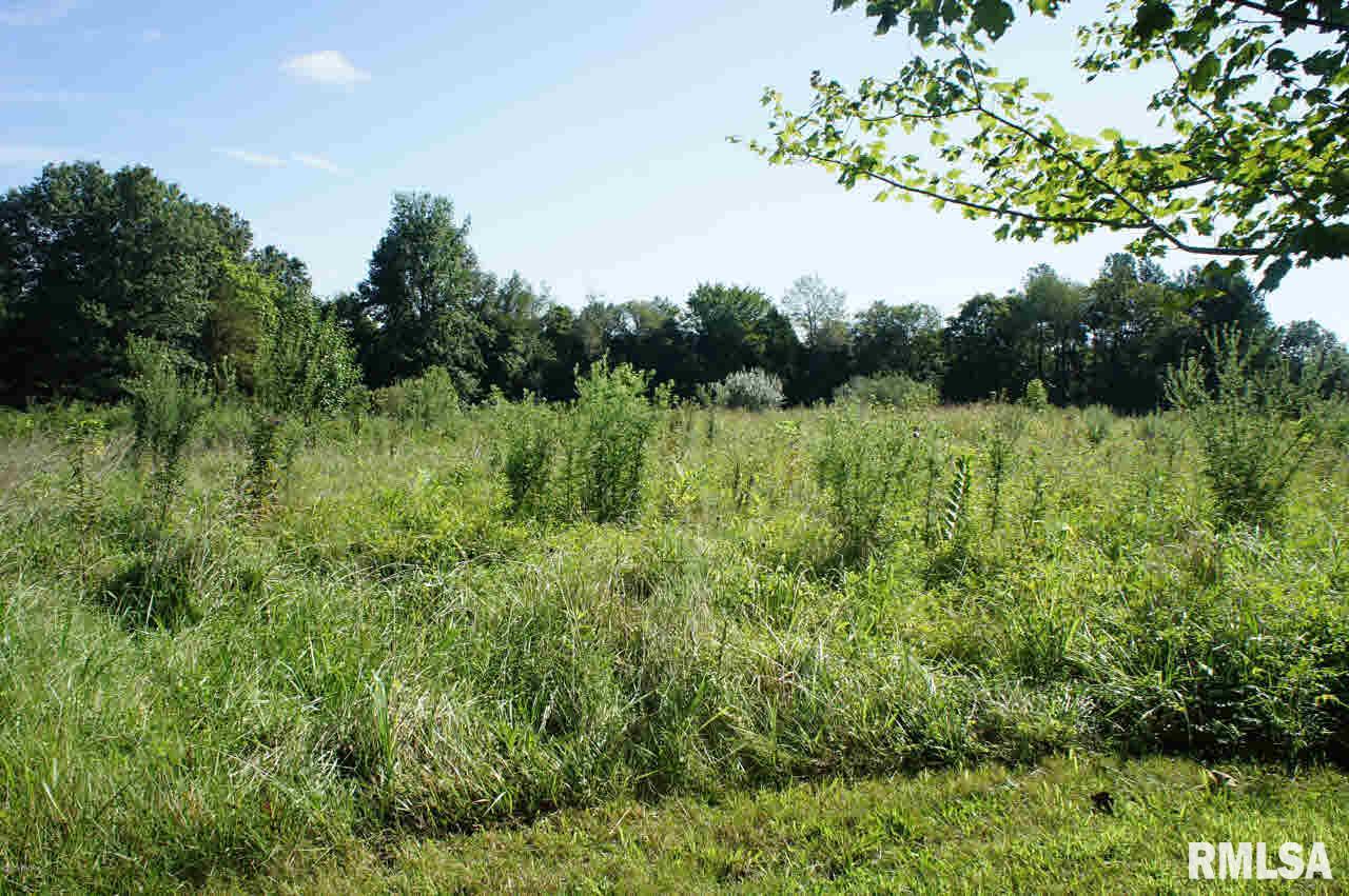 7021 Walnut Ridge Road Grantsburg, IL 62943 - Photo 8 of 31 Gallery Image 8