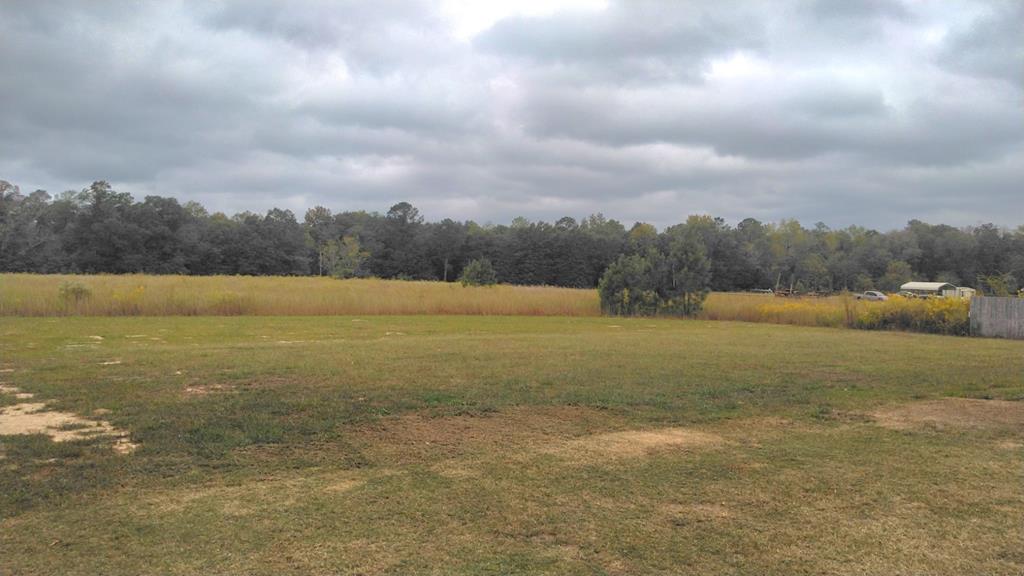 152 McLendon Road Fort Mitchell, AL 36856 - Photo 27 of 27 a view of an ocean and beach