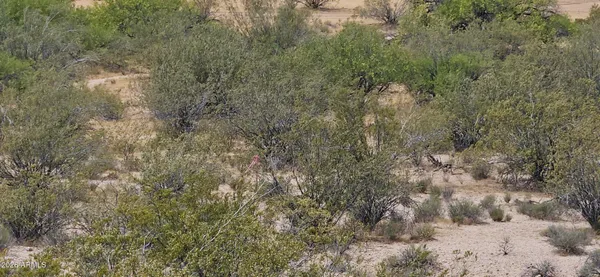 $140,000 | 21-f-3 West 21-f-3 W Silverado Parkway, Unit 21F3, Kingman, AZ 86401