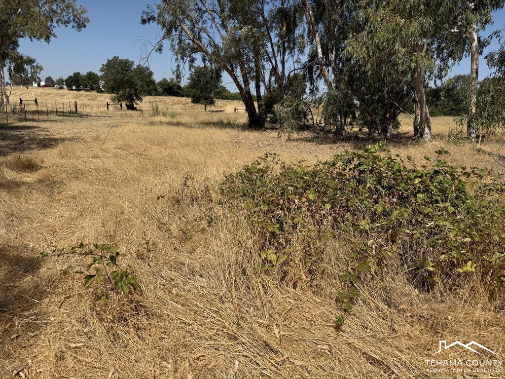 4471 Kopta Road Corning, CA 96021 - Photo 10 of 15