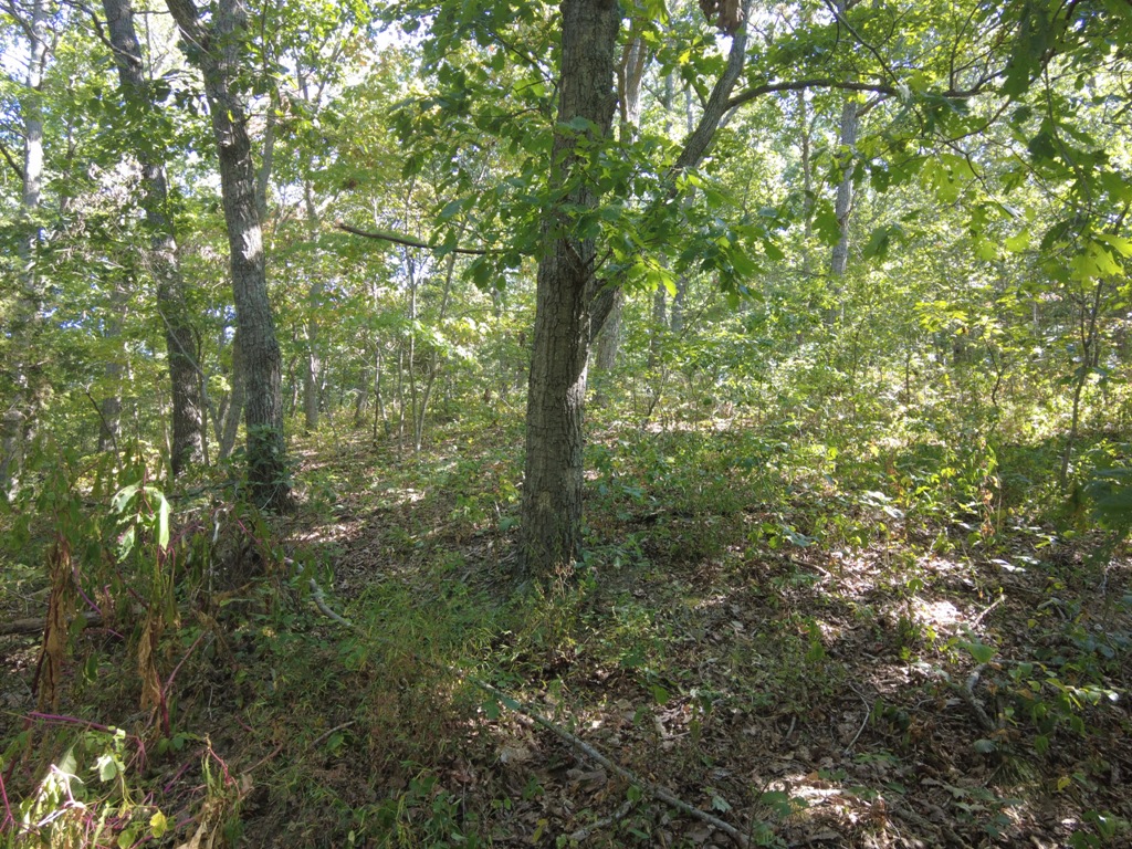 16 Black Hollow Road Peebles, OH 45660 - Photo 15 of 39
