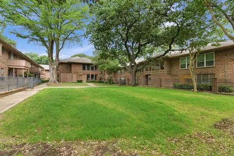 a view of a yard with a large tree