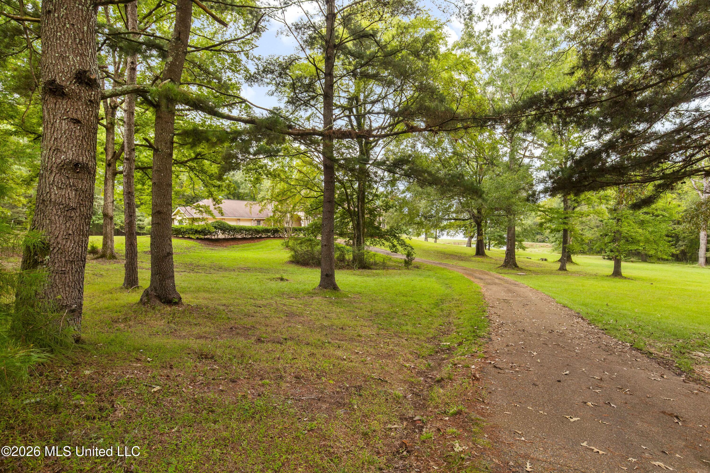 373 Chapel Hill Road Flora, MS 39071 - Photo 52 of 66 373 Chapel Hill-32