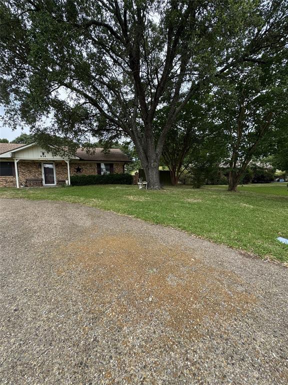636 East Kempner Street Mabank, TX 75147 - Photo 4 of 28 Large mature tree anchoring the front lawn