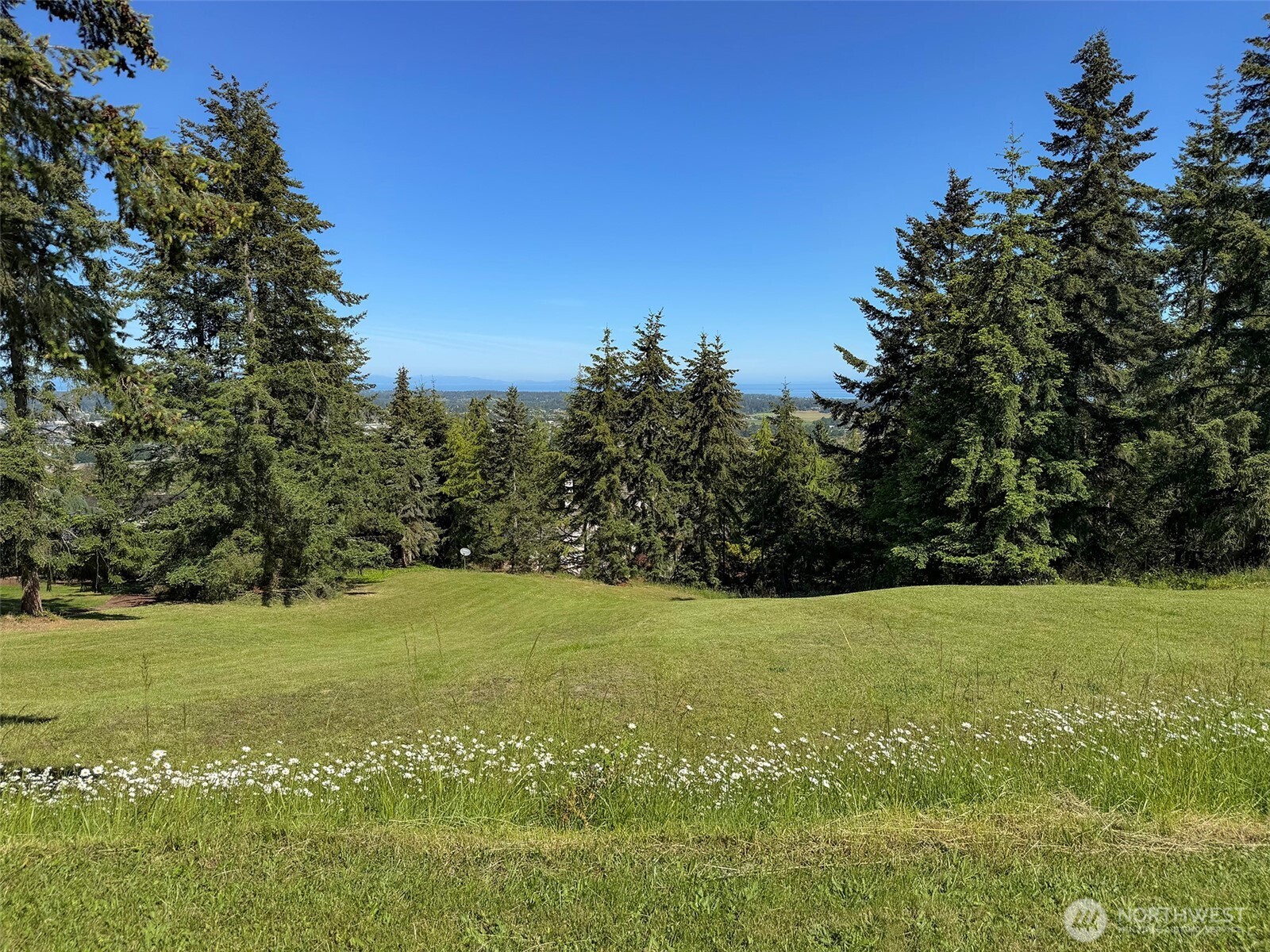 1 Owls Nest Road Sequim, WA 98382 - Photo 7 of 31 a view of a field with an trees in the background