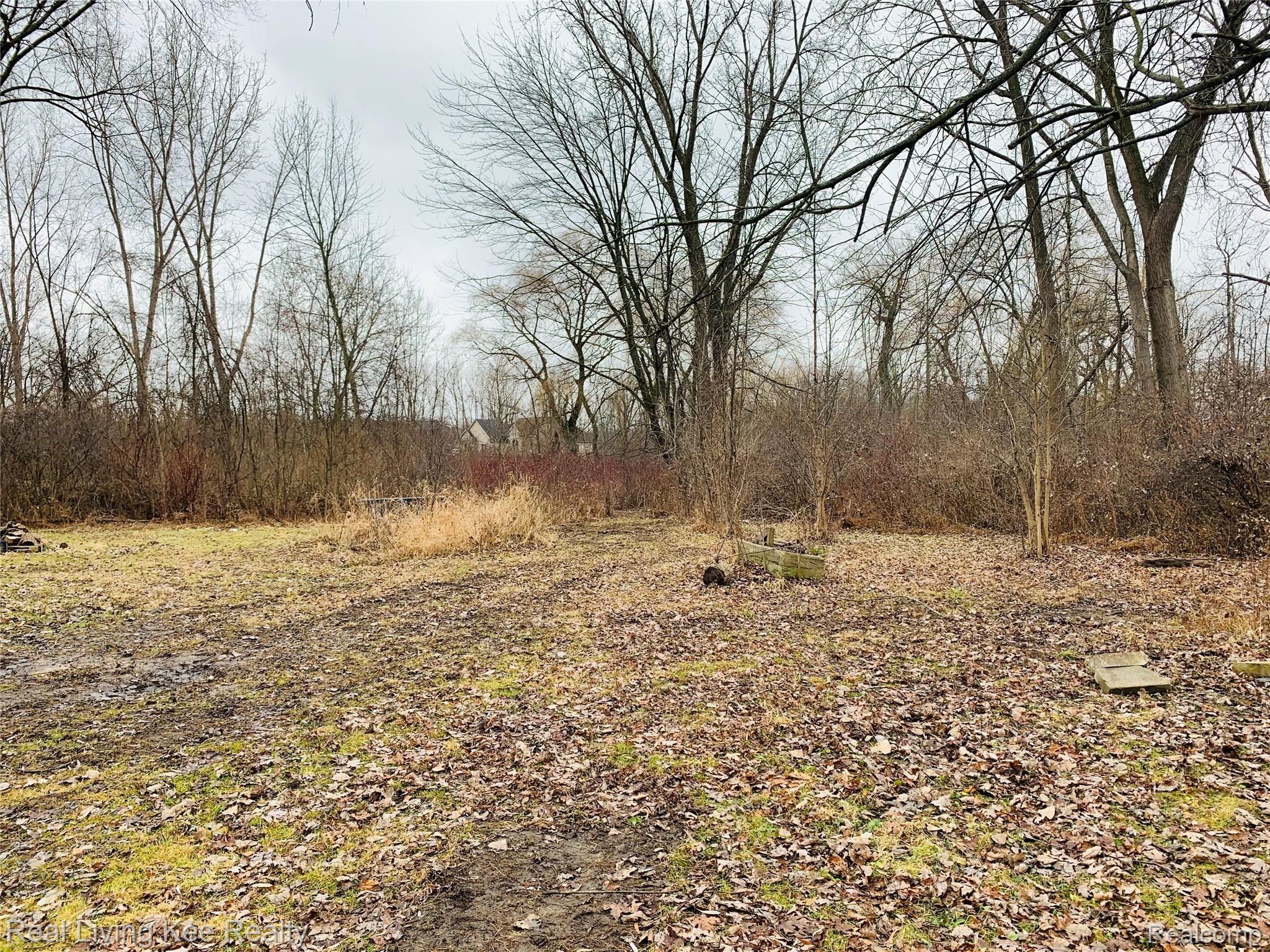 21160 32 Mile Road Ray, MI 48096 - Photo 18 of 20 IMG-3014.jpg