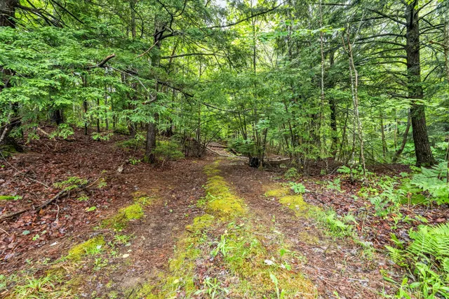 $1,195,000 | 8 Beech Hill Road, Northport, ME 04849