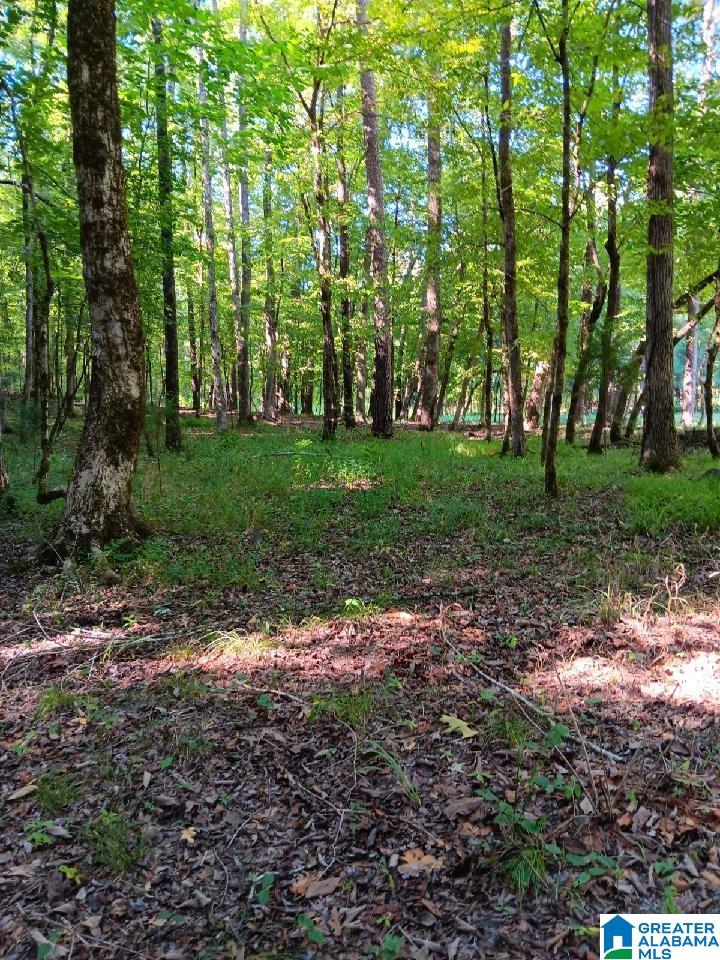 410 Rocky Branch Road Centreville, AL 35042 - Photo 5 of 6
