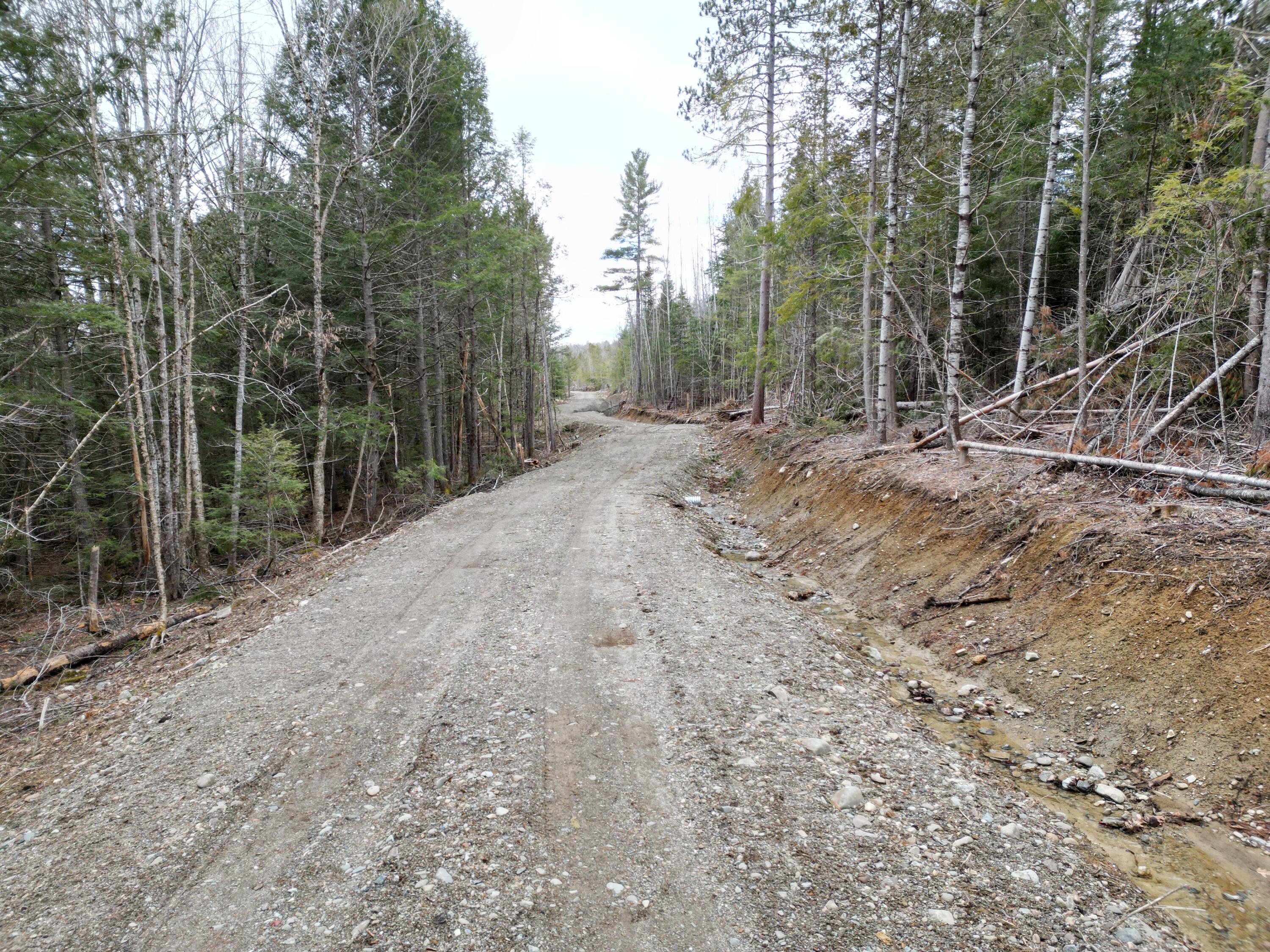Lot 4 Bill Green Pond Road Lee, ME 04455 - Photo 3 of 16 DJI_0917