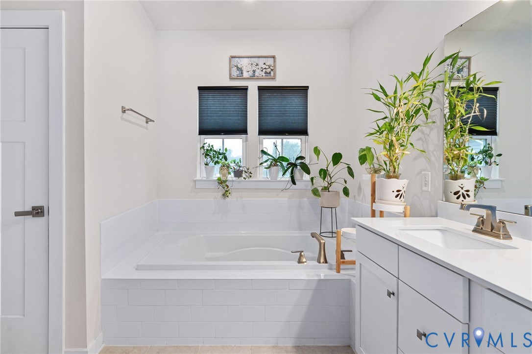 1605 German School Road Richmond, VA 23225 - Photo 18 of 27 a bathroom with a potted plant on the counter and a sink