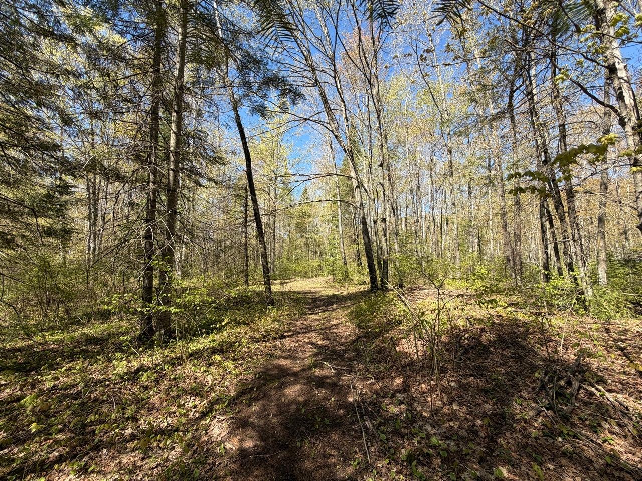 1375 Birch Road Park Falls, WI 54552 - Photo 13 of 32 Gallery Image 13
