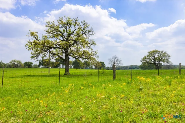 a view of a golf course with a lake