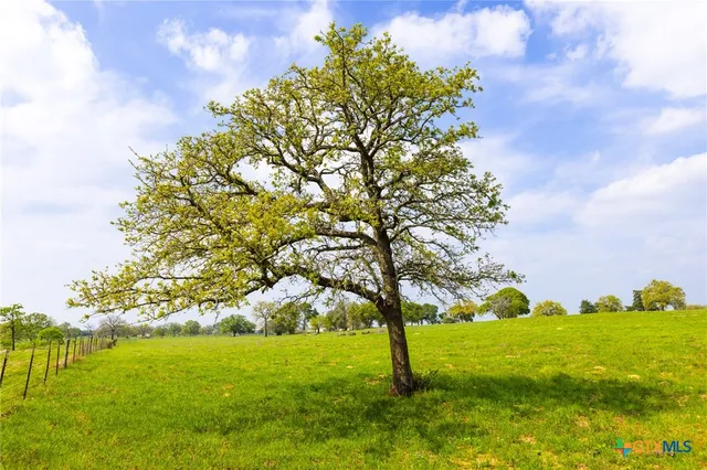 a view of an outdoor space and yard