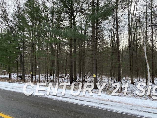 0 West Wackerly Road Sanford, MI 48657 - Photo 19 of 19