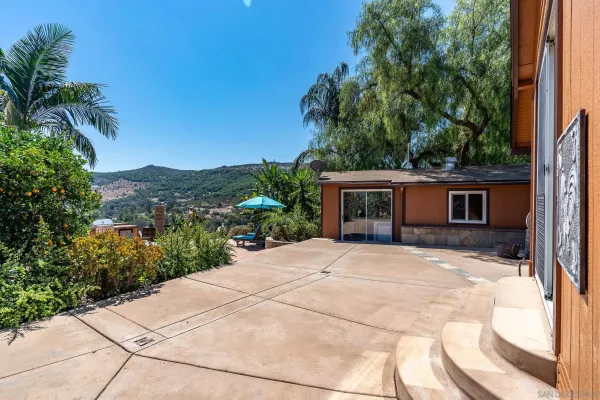 a street view with large trees