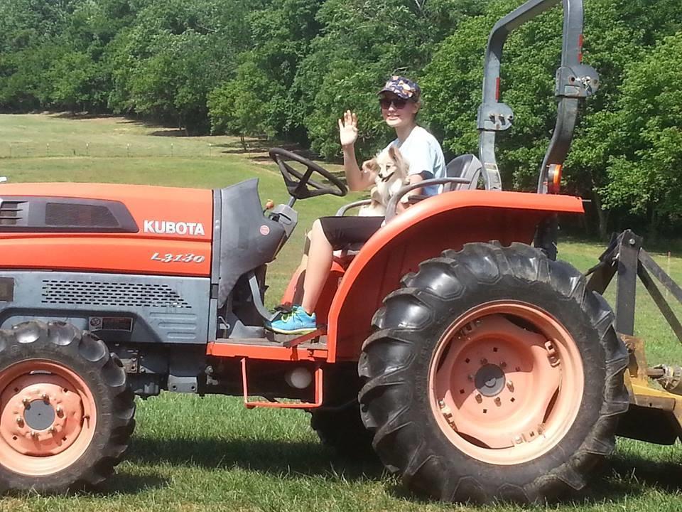 489 Old Fort Road Rocky Mount, VA 24151 - Photo 68 of 68 kubota