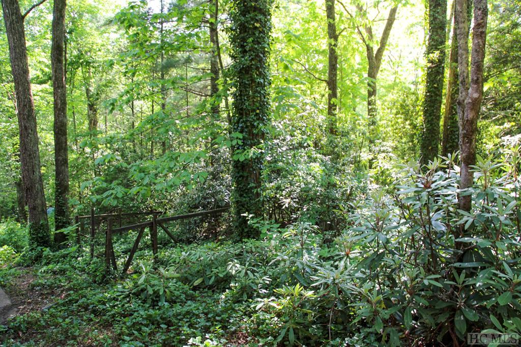 529 Hickory Hill Road Highlands, NC 28741 - Photo 24 of 53 Gallery Image 24
