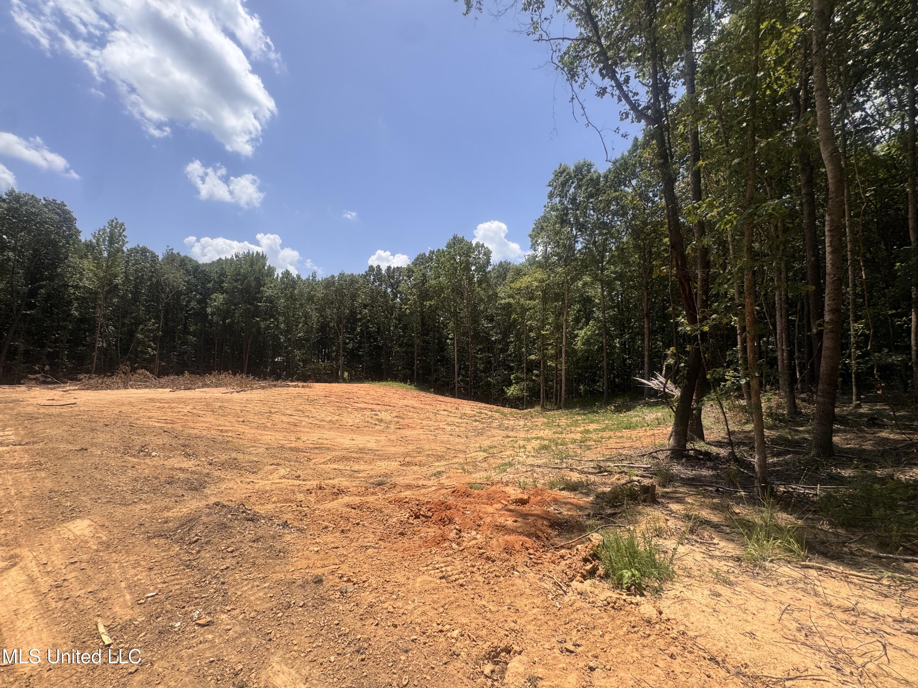 25 Leonard Lane Holly Springs, MS 38635 - Photo 2 of 9 IMG_8005