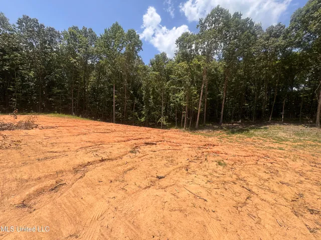 $39,000 | 25 Leonard Lane, Holly Springs, MS 38635