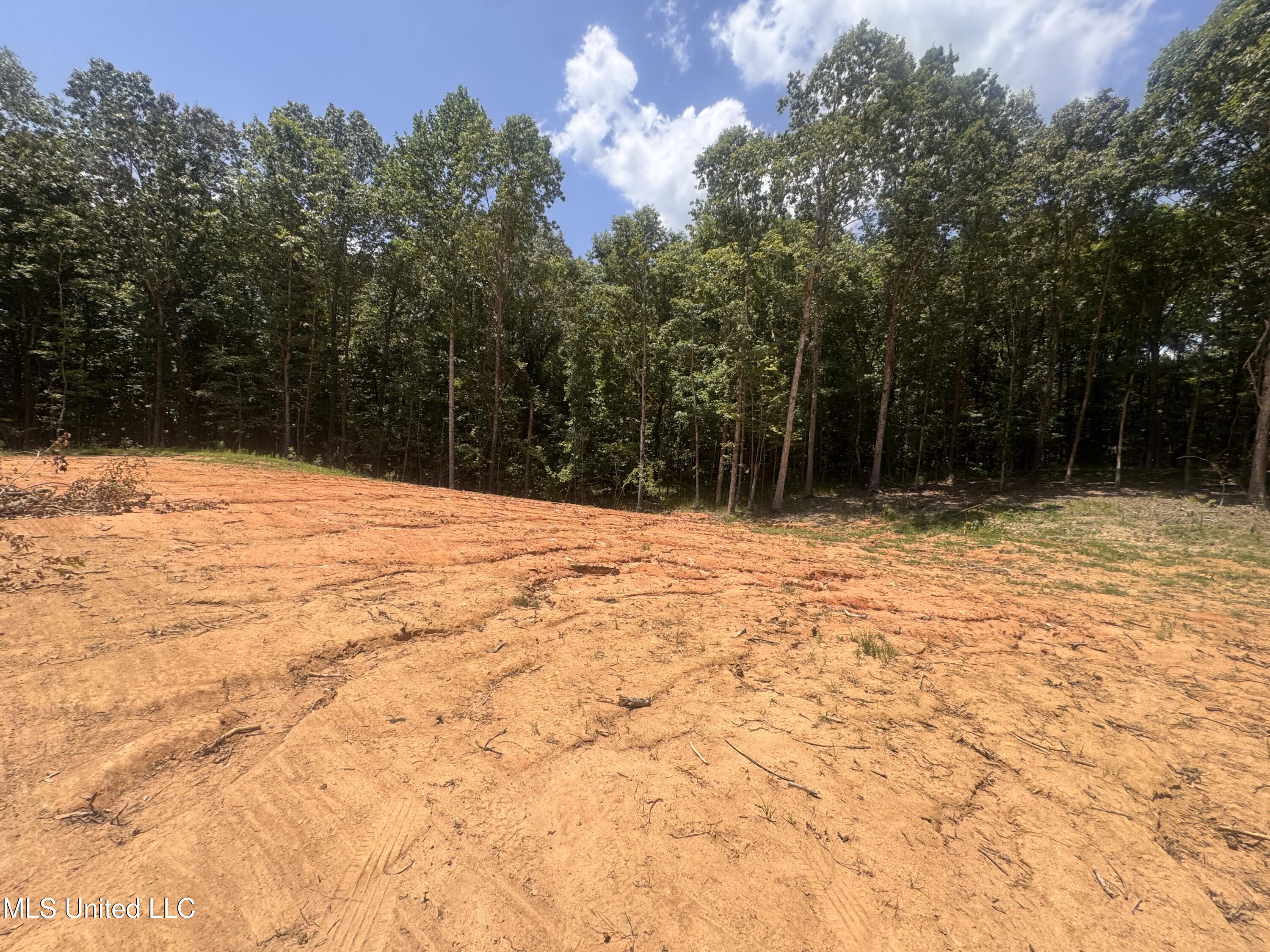 25 Leonard Lane Holly Springs, MS 38635 - Photo 4 of 9 IMG_7990