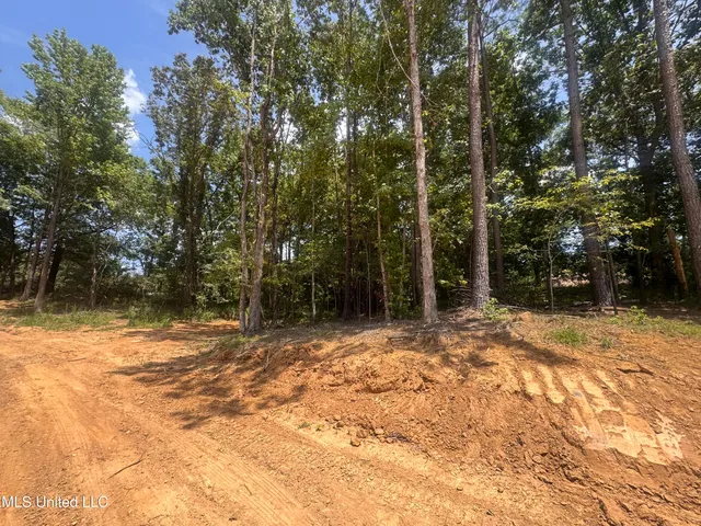 $39,000 | 25 Leonard Lane, Holly Springs, MS 38635