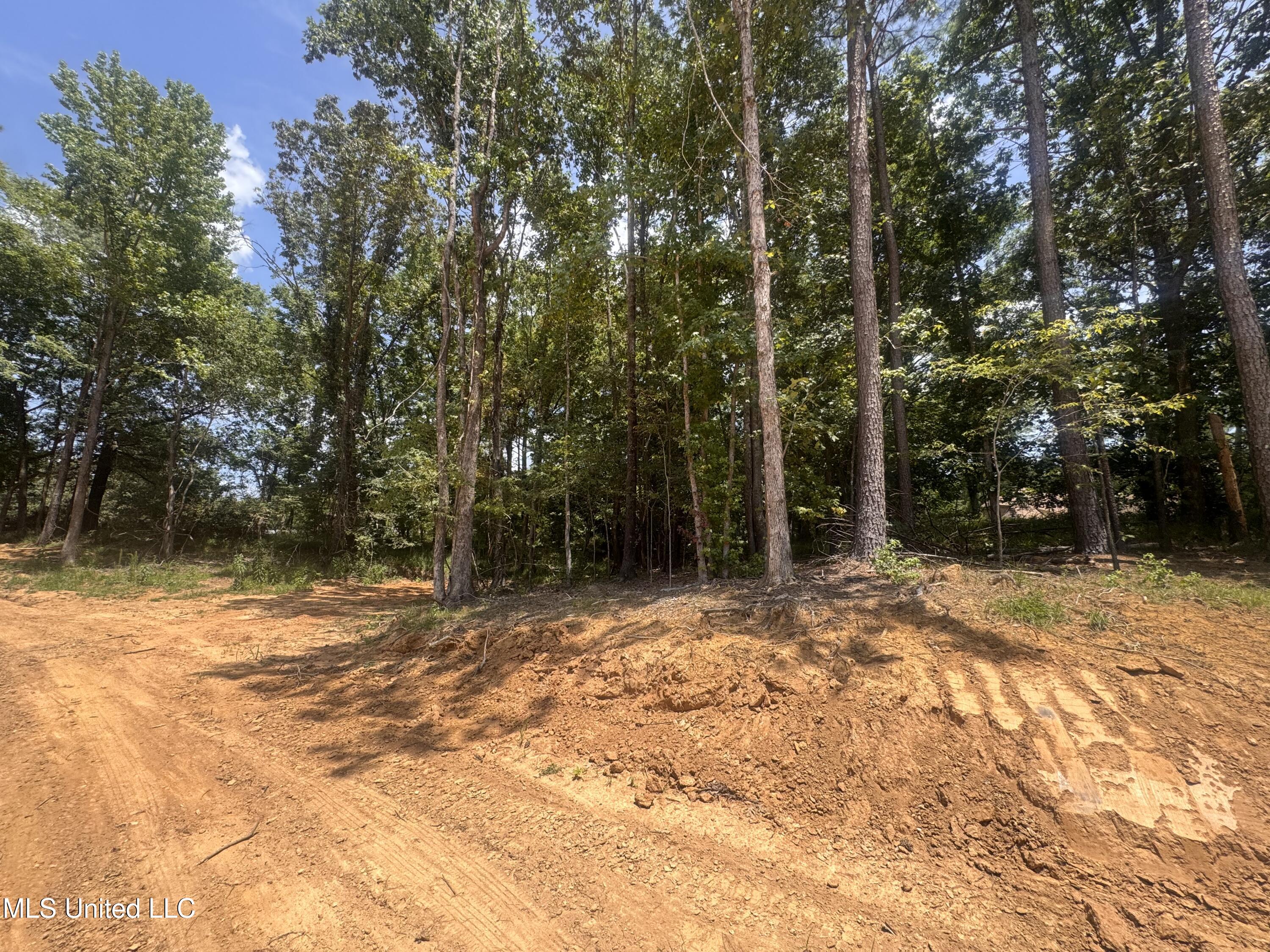 25 Leonard Lane Holly Springs, MS 38635 - Photo 5 of 9 IMG_7981