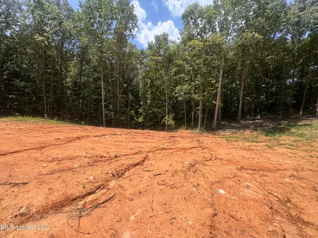 $39,000 | 25 Leonard Lane, Holly Springs, MS 38635