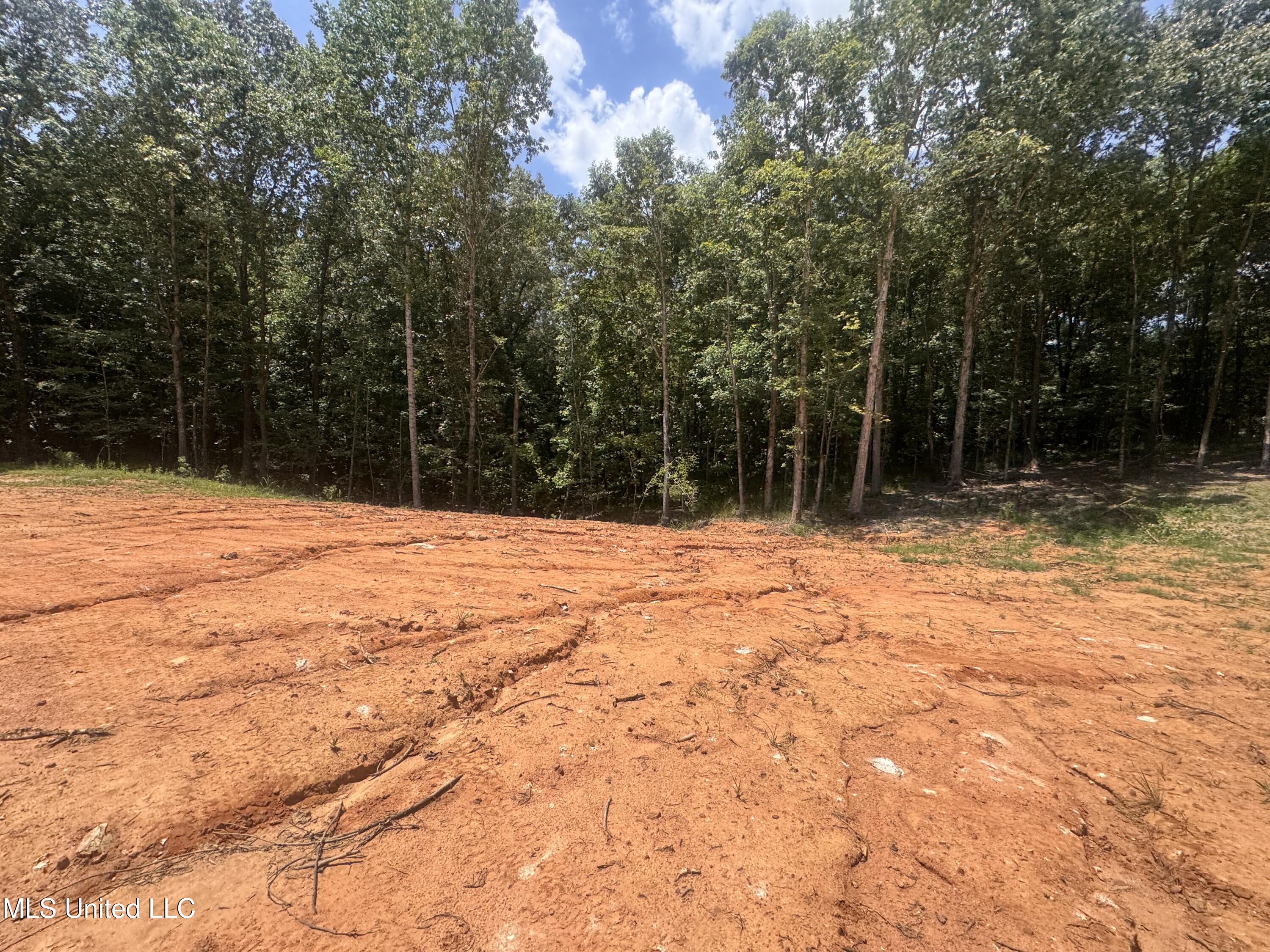 25 Leonard Lane Holly Springs, MS 38635 - Photo 7 of 9 IMG_7994