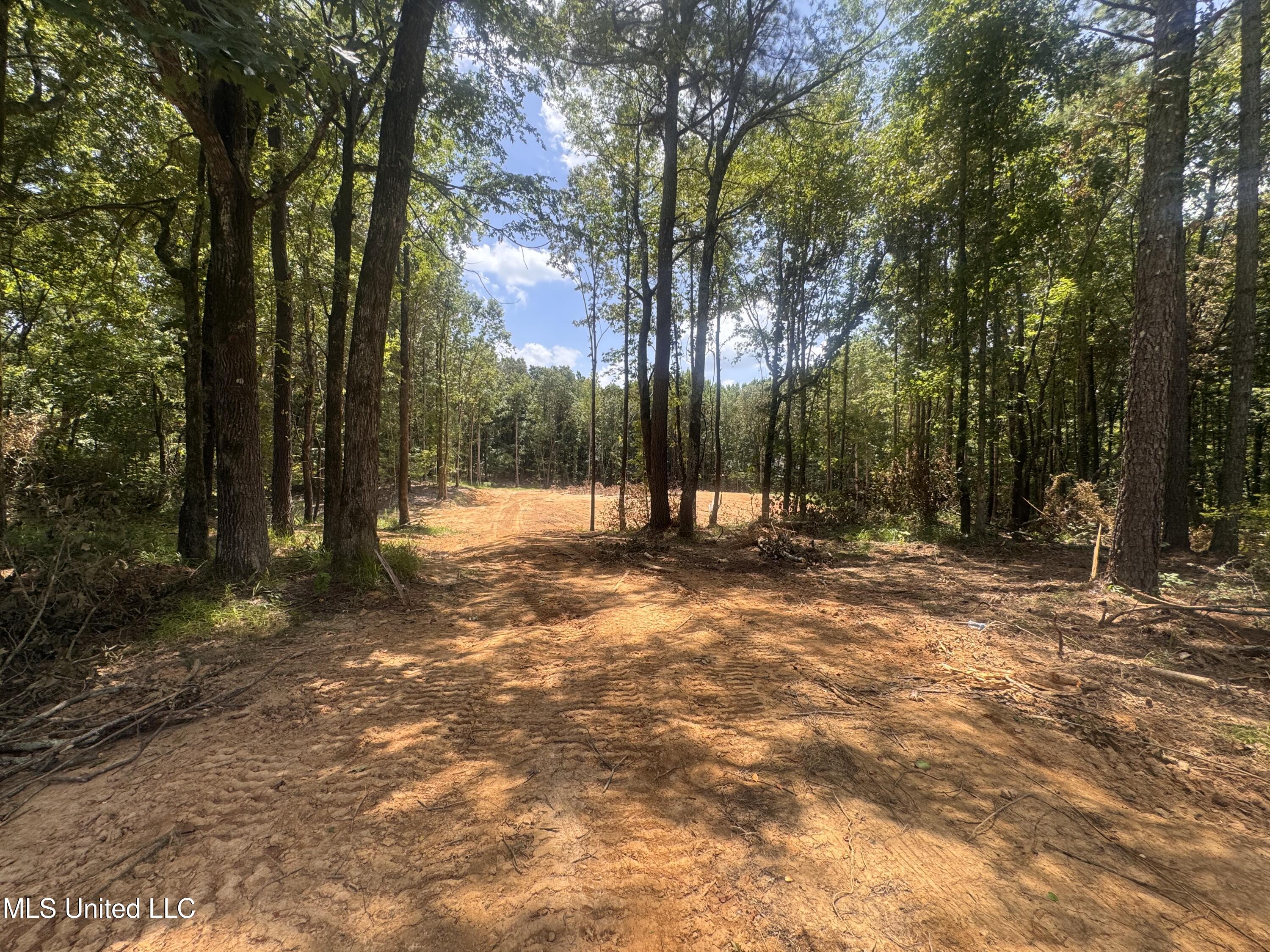 25 Leonard Lane Holly Springs, MS 38635 - Photo 9 of 9 IMG_8017