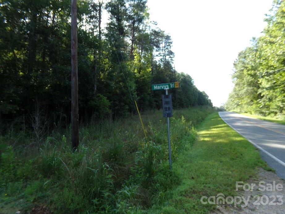 Lot 2 State Line Road Mooresboro, NC 28114 - Photo 2 of 7 a view of a lush green space