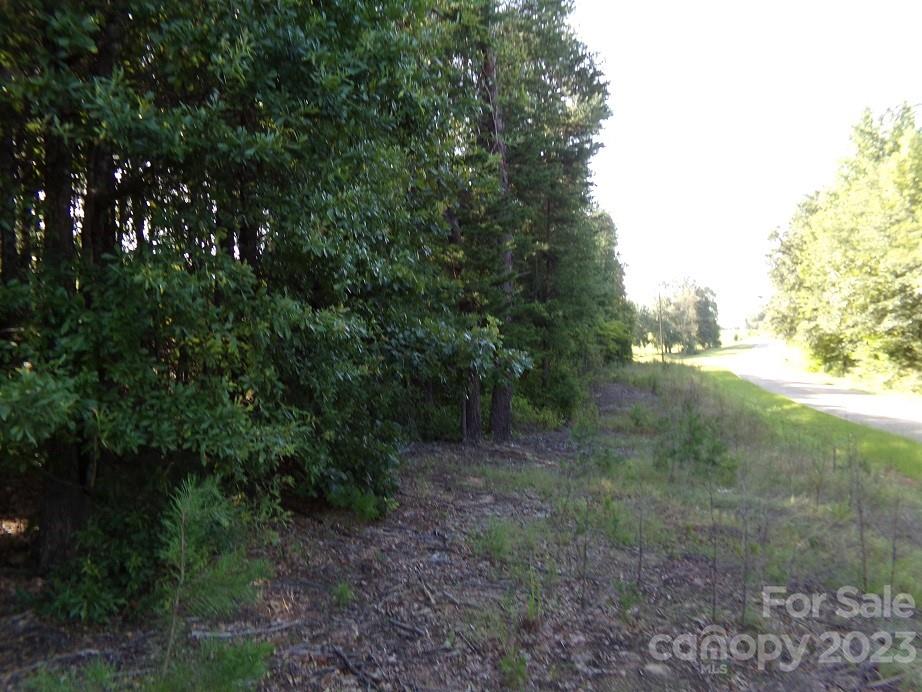 Lot 2 State Line Road Mooresboro, NC 28114 - Photo 4 of 7 a view of a yard with plants and trees