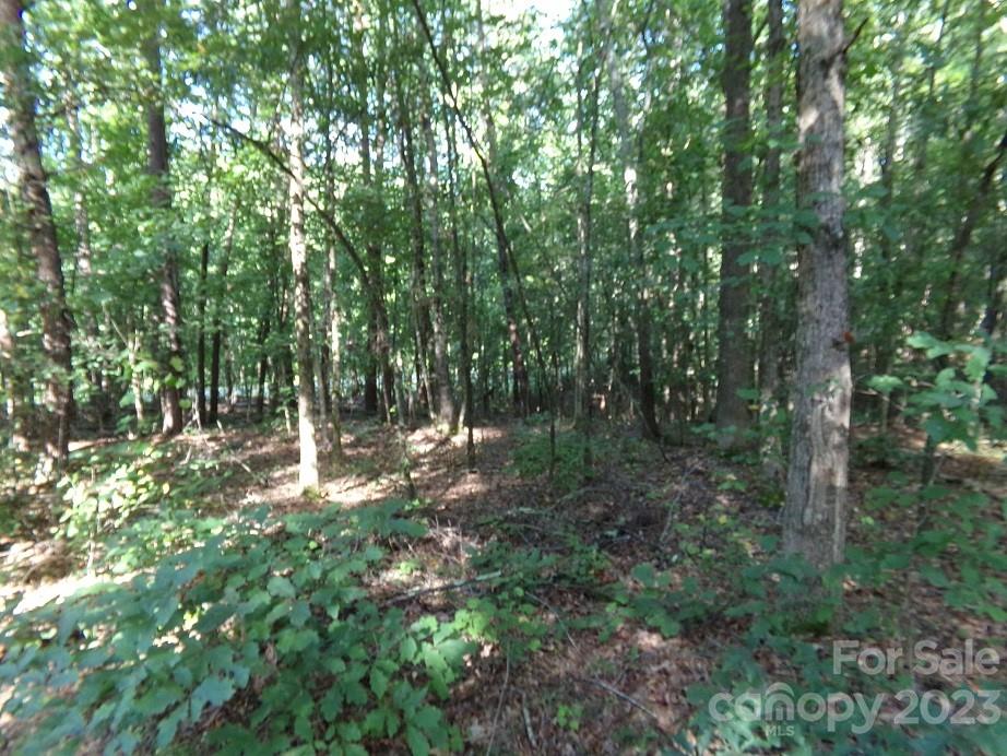 Lot 2 State Line Road Mooresboro, NC 28114 - Photo 6 of 7 a view of outdoor space and green space