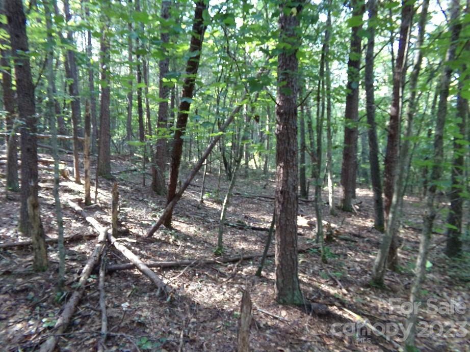 Lot 2 State Line Road Mooresboro, NC 28114 - Photo 7 of 7 a view of forest