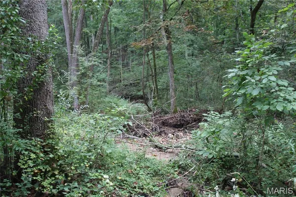 $799,900 | 65 Pendleton Lost Creek Road, Warrenton, MO 63383