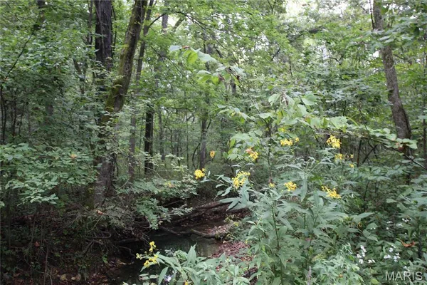 $799,900 | 65 Pendleton Lost Creek Road, Warrenton, MO 63383