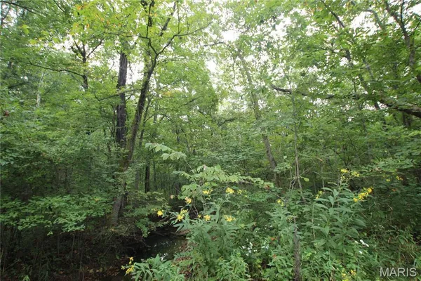 $799,900 | 65 Pendleton Lost Creek Road, Warrenton, MO 63383