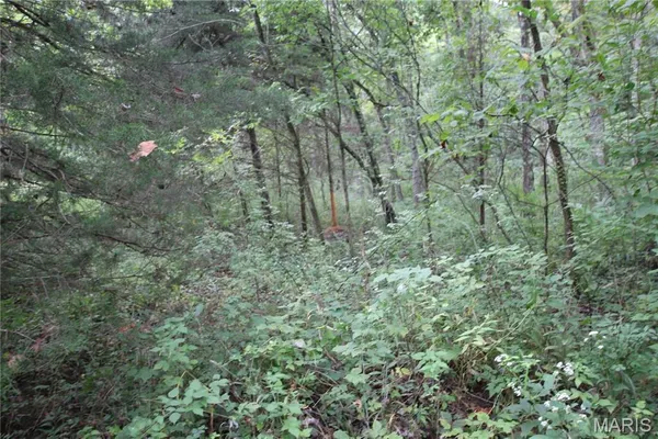 $799,900 | 65 Pendleton Lost Creek Road, Warrenton, MO 63383