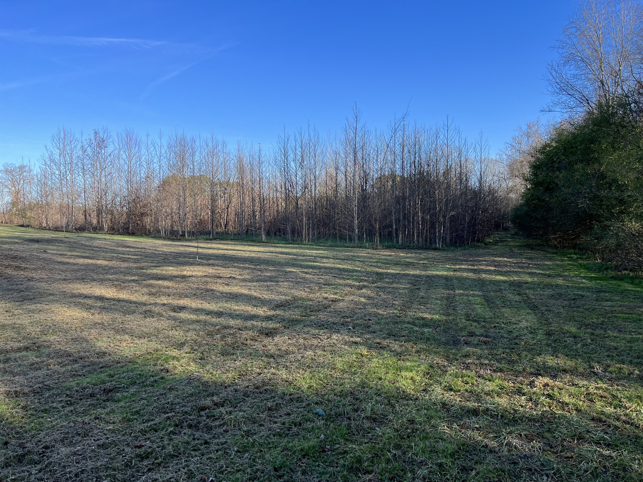 106 Shotwell Road Lawrenceburg, TN 38464 - Photo 10 of 46 Gallery Image 10