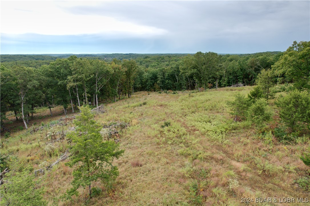 29645 Ivy Bend Road Stover, MO 65078 - Photo 3 of 4