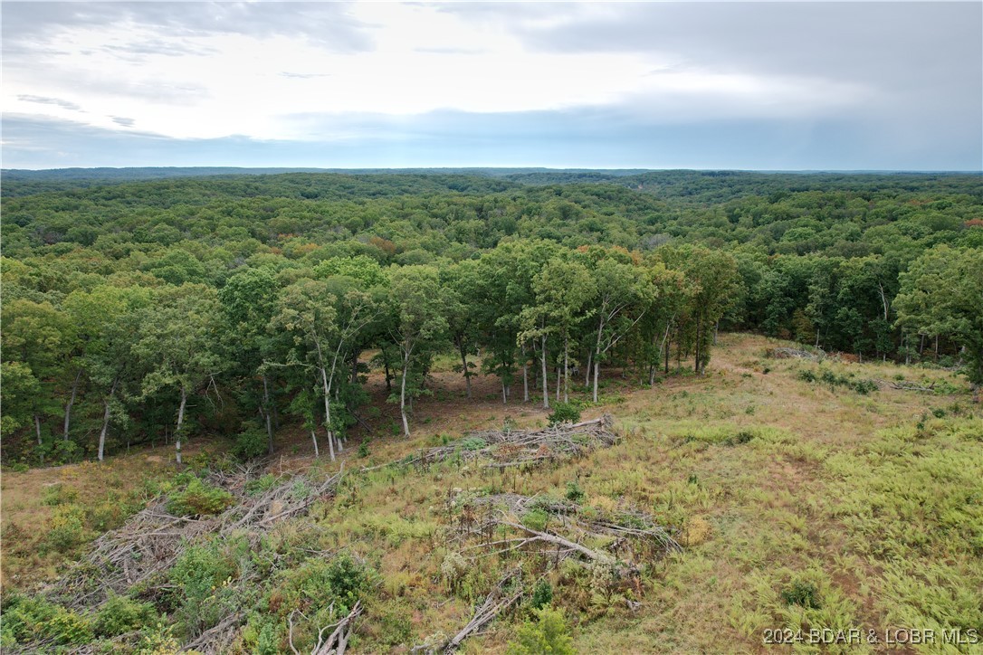 29645 Ivy Bend Road Stover, MO 65078 - Photo 4 of 4