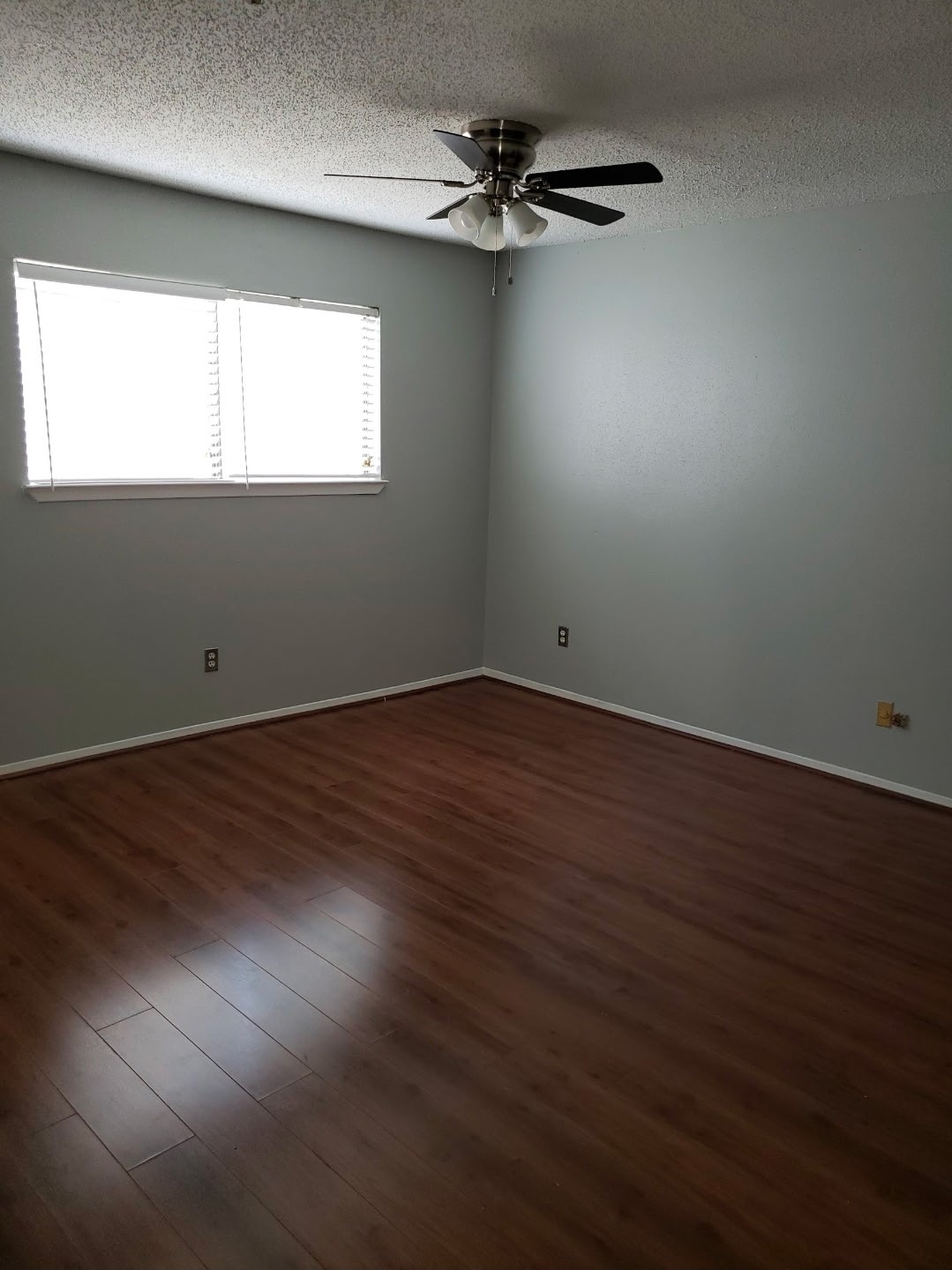 3835 Tanglewilde Street, Unit 3835 Houston, TX 77063 - Photo 8 of 12