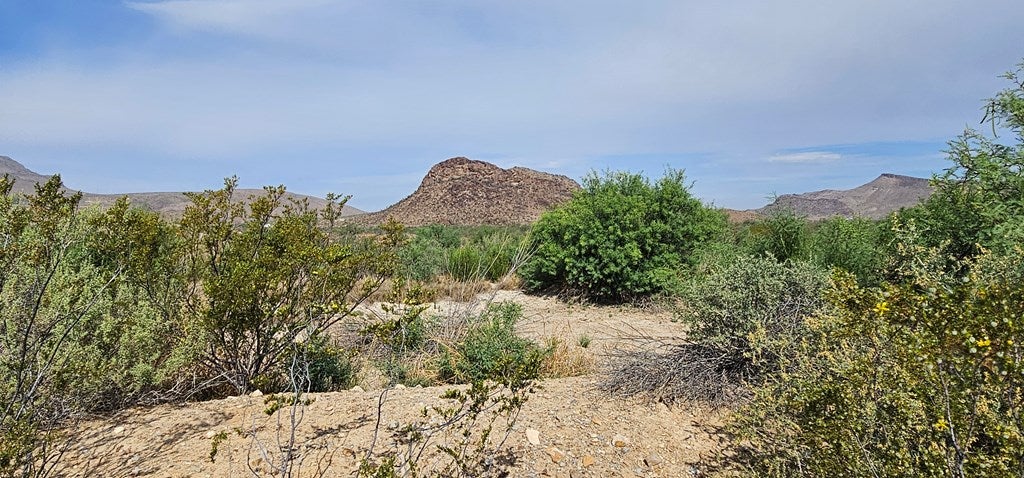 501 Crows Peak Road Alpine, TX 79830 - Photo 44 of 64 Gallery Image 44
