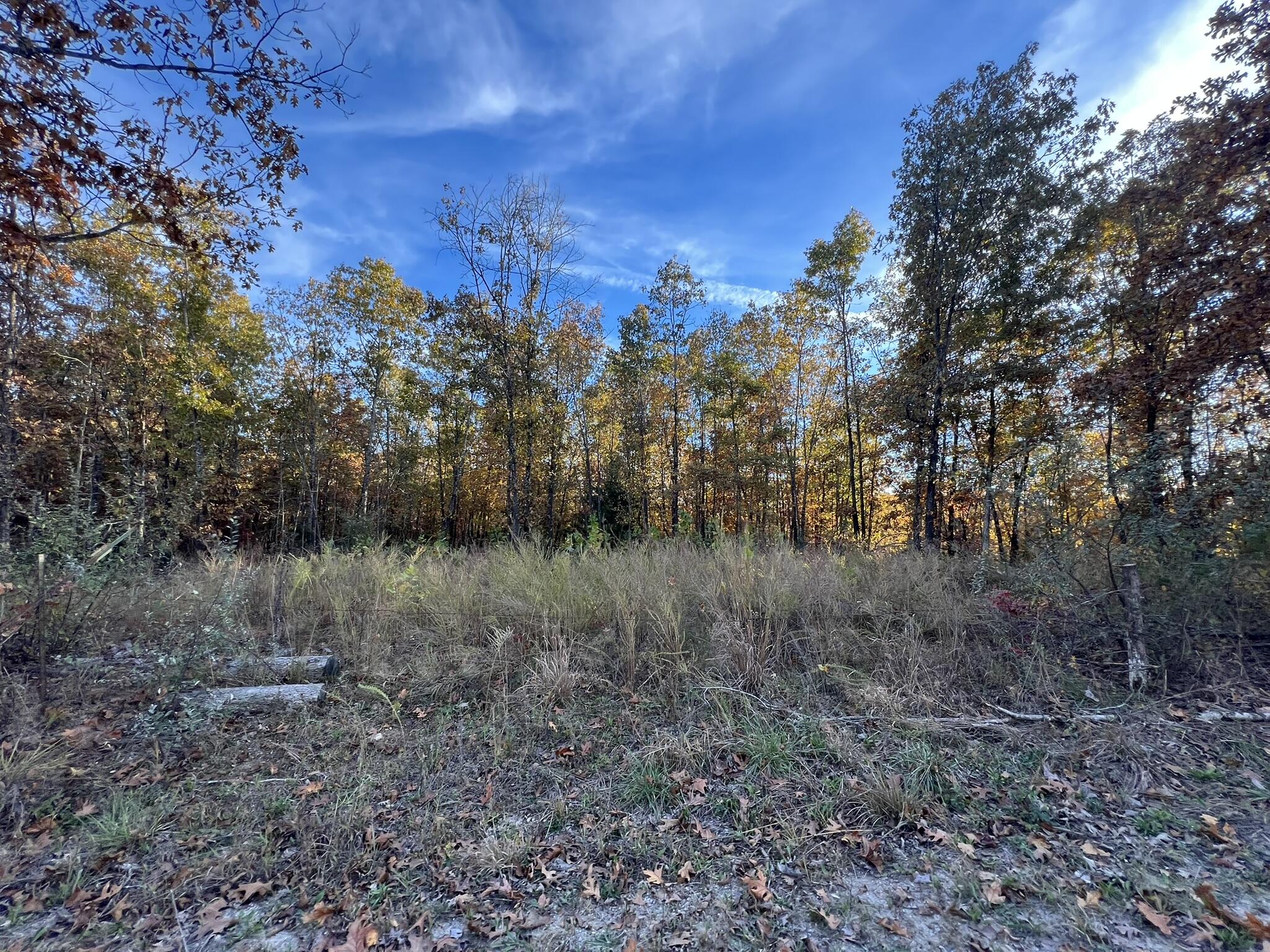 0 King Road Mountain Grove, MO 65711 - Photo 26 of 26 41